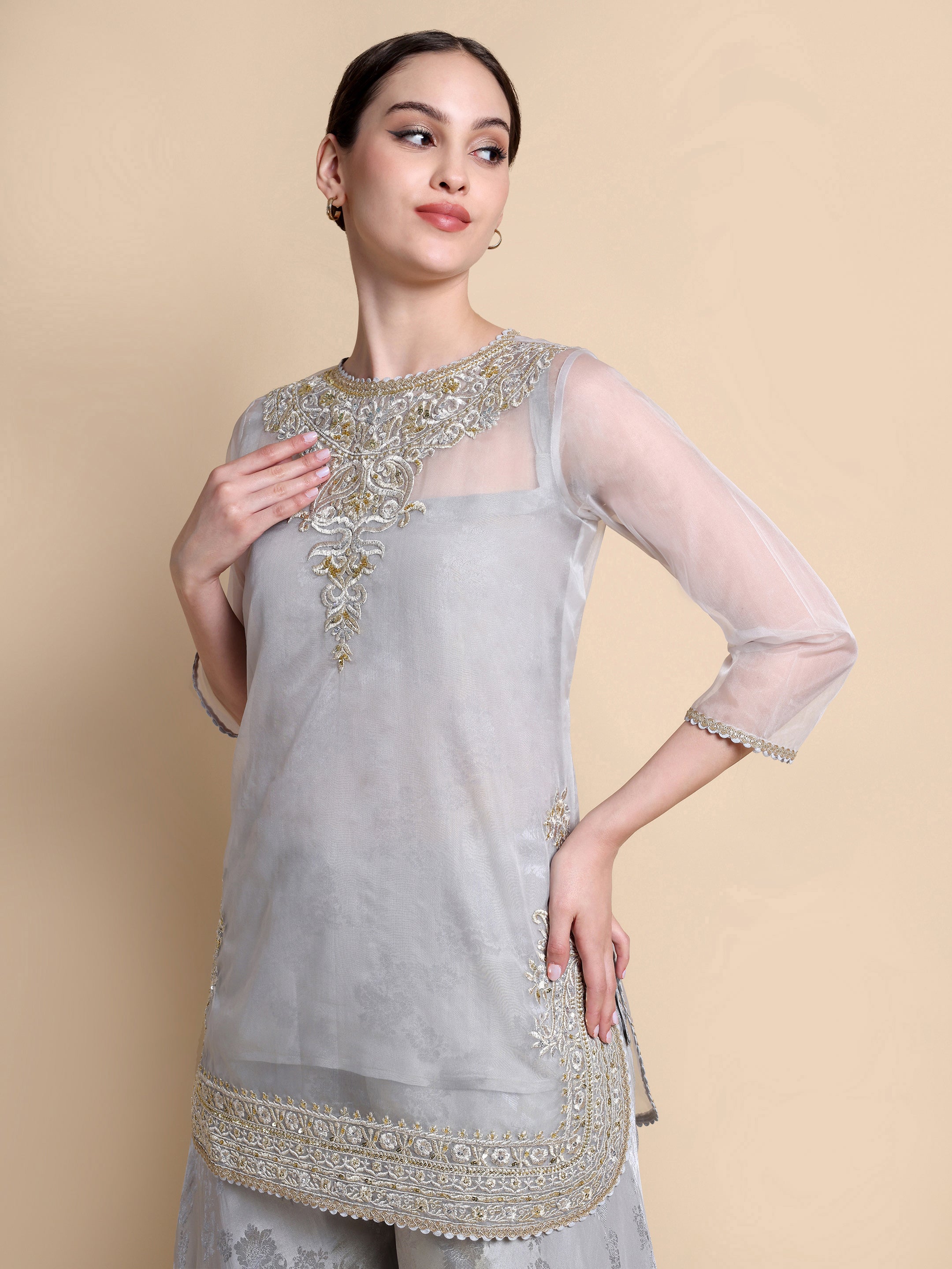 Woman wearing a light gray embroidered top with sheer sleeves on a beige background