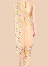 Beige saree with floral embroidery on a beige background