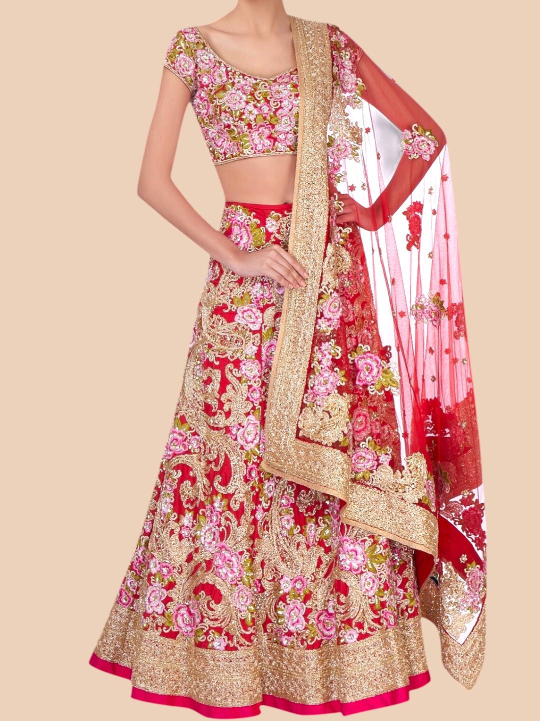 Traditional Indian outfit with floral patterns on a beige background